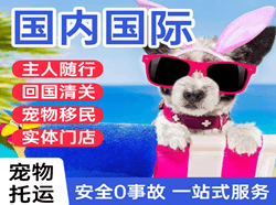 海北祁连航空运输国际宠物托运 【国